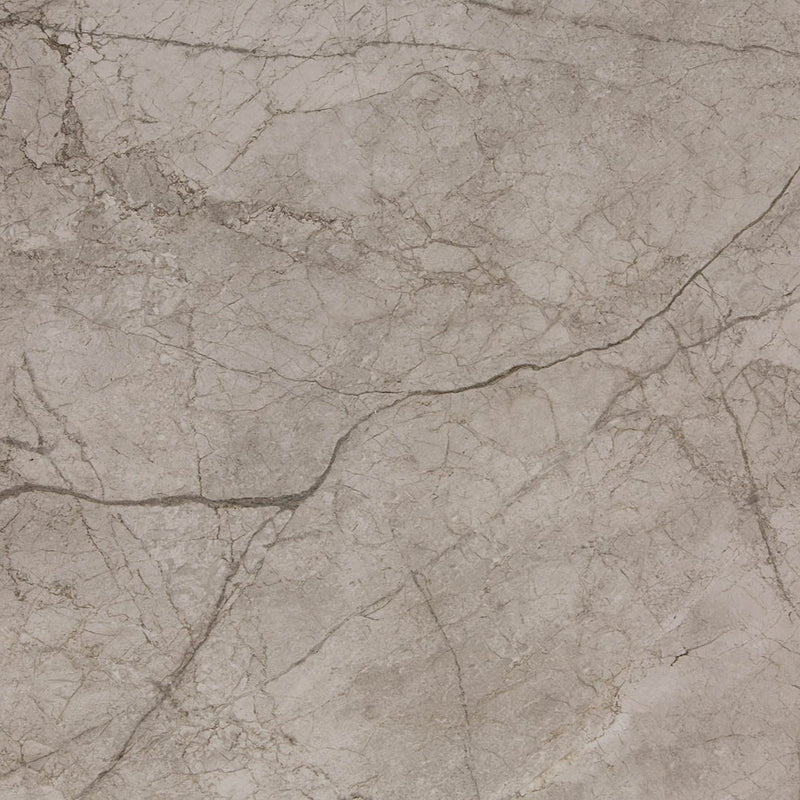 24"x48" Avend Rectified Polished Porcelain Tile