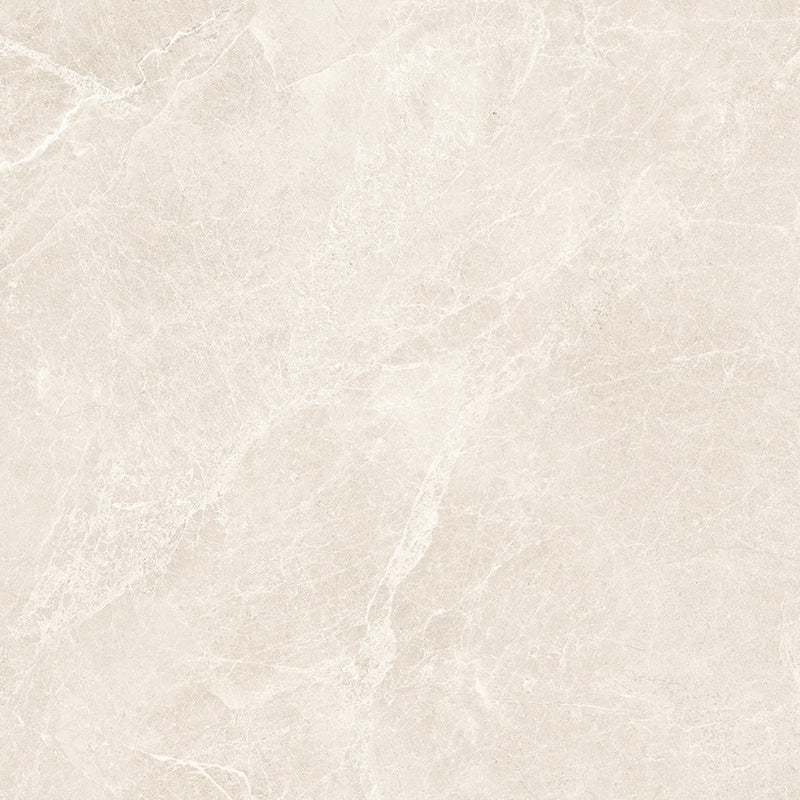 24"x48" Swan Bone Rectified Polished Porcelain Tile