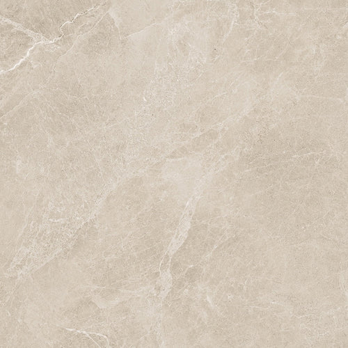 24x48 Swan Latte Rectified Polished