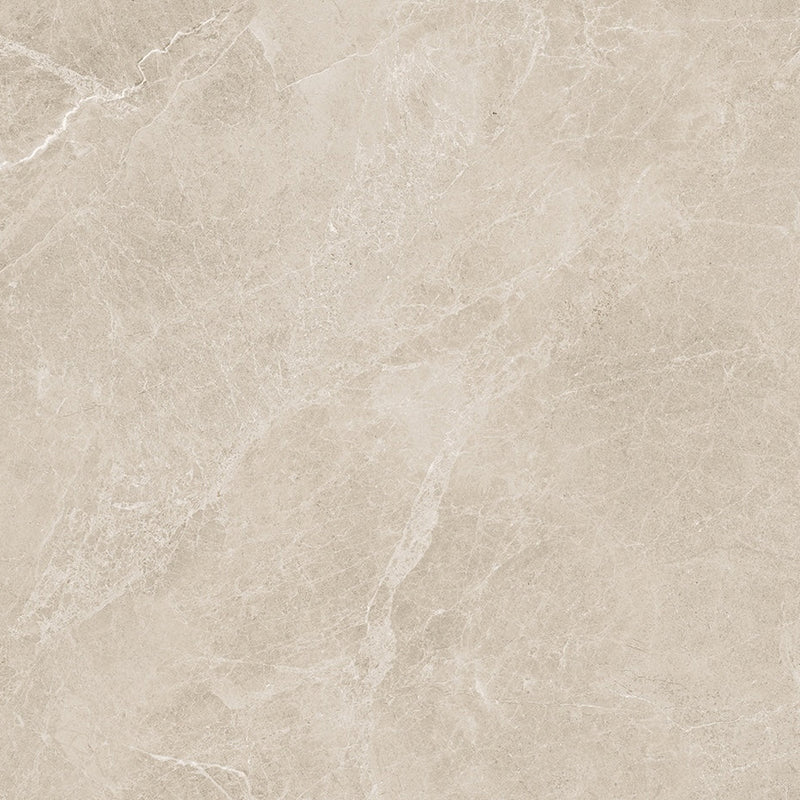 24x48 Swan Latte Rectified Polished