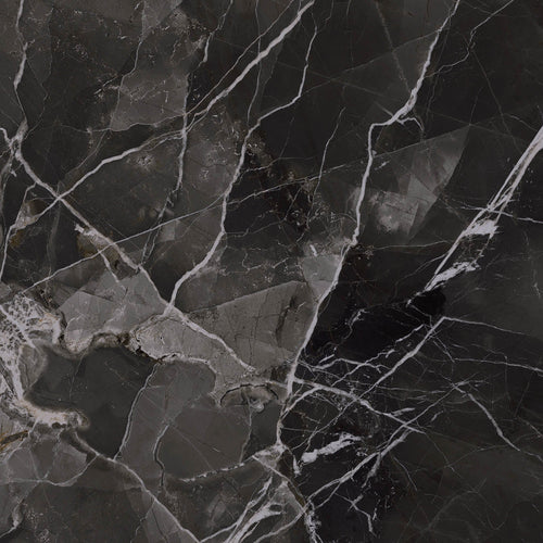 24"x48" Black Calacatta Crystal Rectified Polished Porcelain Tile