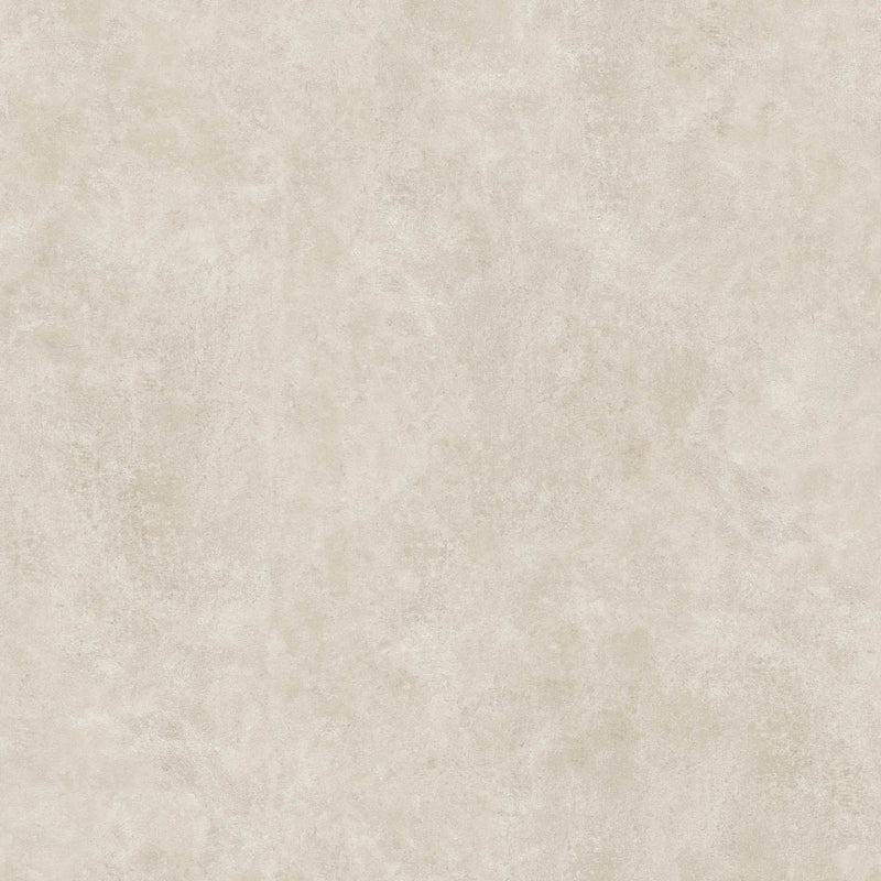 64"x 128" Vista Bone Porcelain Slab