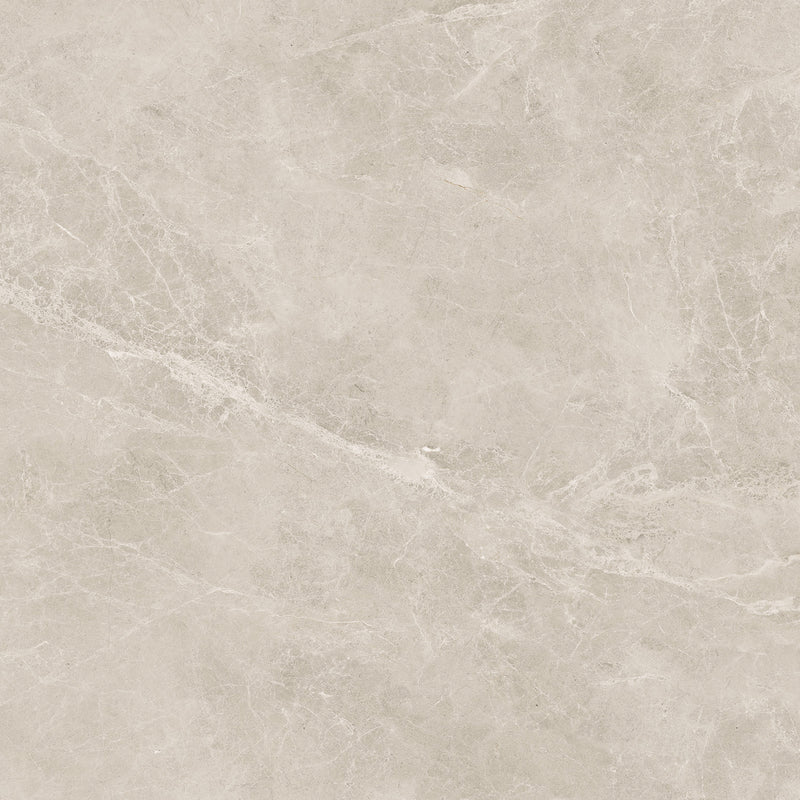 48"x48" Swan Latte Rectified Polished Porcelain Tile